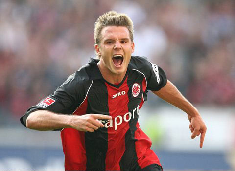 的份额稳步 的份额稳步